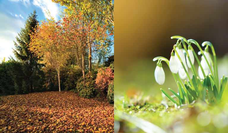 Ouverture et fermeture de terrain